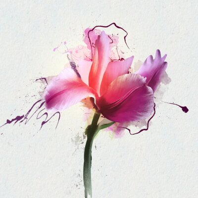 Poster  Vision artistique d'une tulipe rose