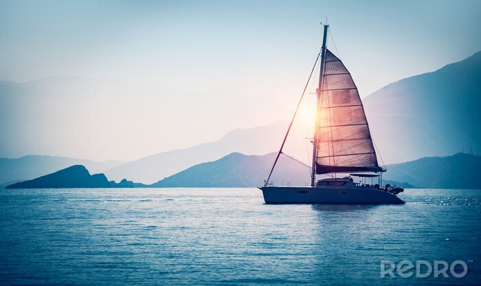 Poster  Voilier dans la mer