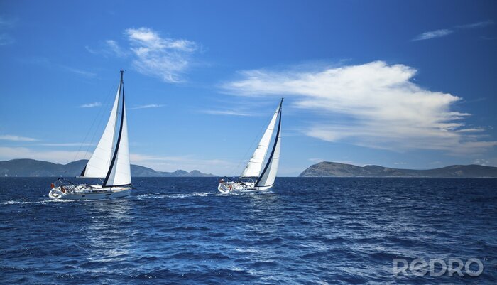 Poster  Voiliers blancs dans la baie