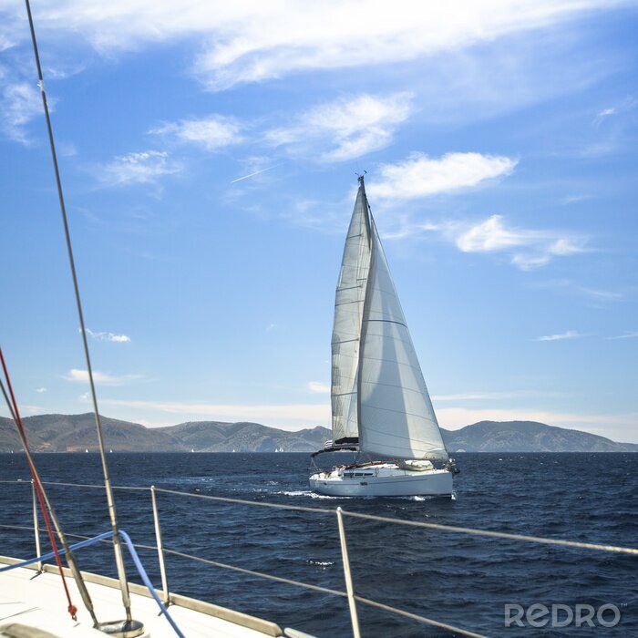 Poster  Voiliers dans la baie