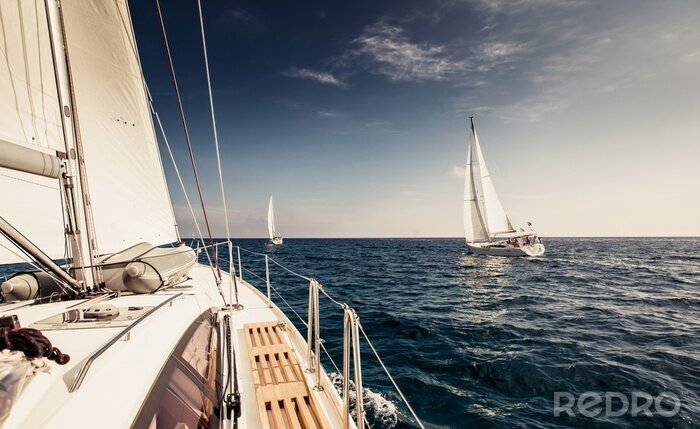 Poster  Voiliers naviguant sur un lac