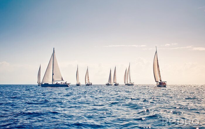Poster  Voiliers sur une mer calme