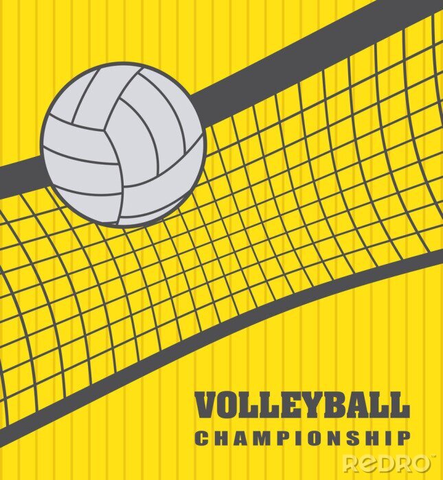 Poster  volley ball