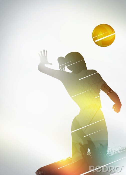 Poster  Volley-ball design plat fond
