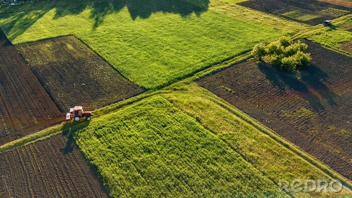 Poster  Vue aérienne du drone, vue aérienne des champs agricoles avec une route et un tracteur le soir du printemps au coucher du soleil