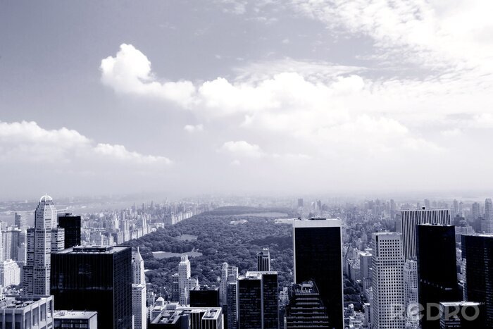 Poster  Vue brumeuse sur Central Park