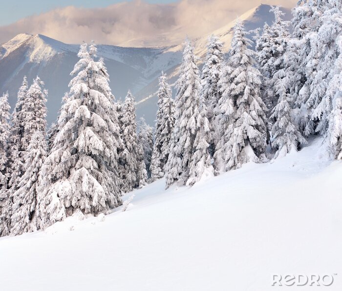Poster  Vue d'hiver dans les montagnes