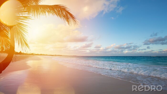Poster  Vue d'une plage tropicale au paradis