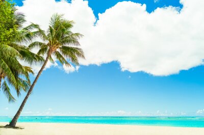Poster  Vue sur la plage et l'océan d'Hawaï