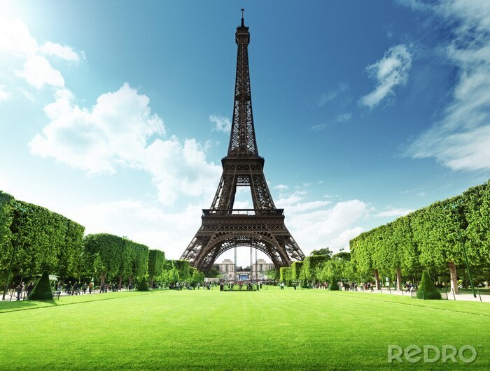 Poster  Vue sur la Tour Eiffel