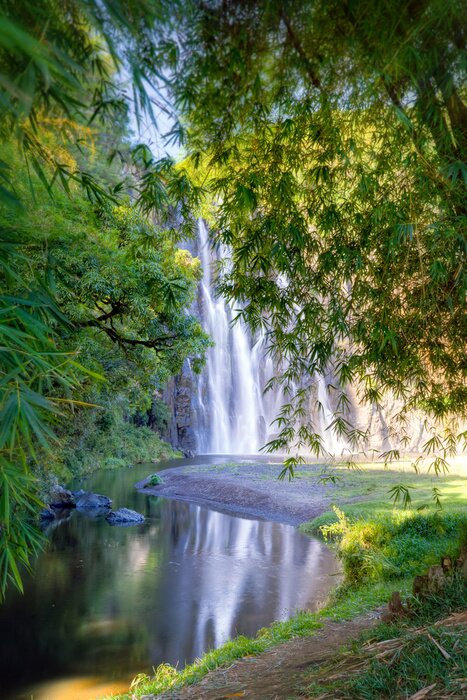 Poster  Vue sur la verdure et la chute d'eau