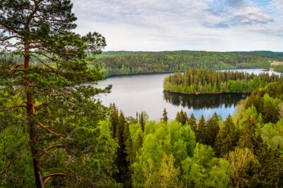 Vue sur le lac en Finlande