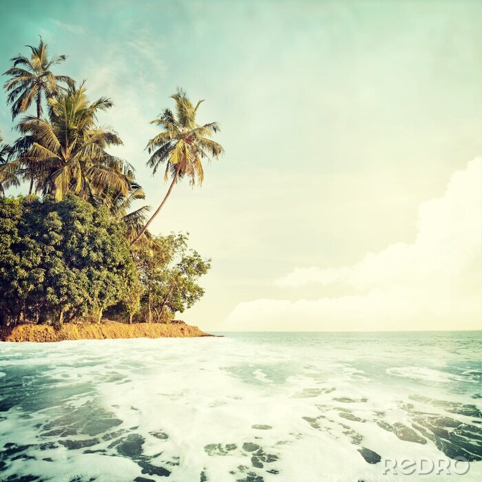 Poster  Vue sur une plage tropicale teintes vintage