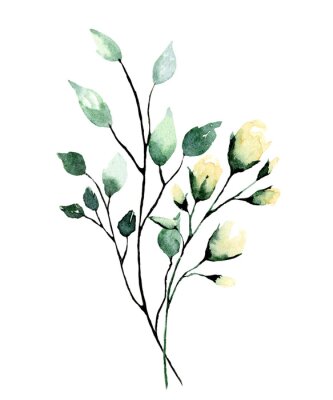 Poster  Watercolor branch with green leaves and flowers roses. Hand painting floral illustration. Leaf, plant isolated on white background. 