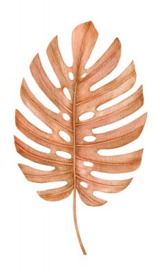 Poster  Watercolor golden dried fan palm leaf. Monstera leaf. Exotic beige clipart isolated on the white background. Hand-drawn illustration. California boho style.