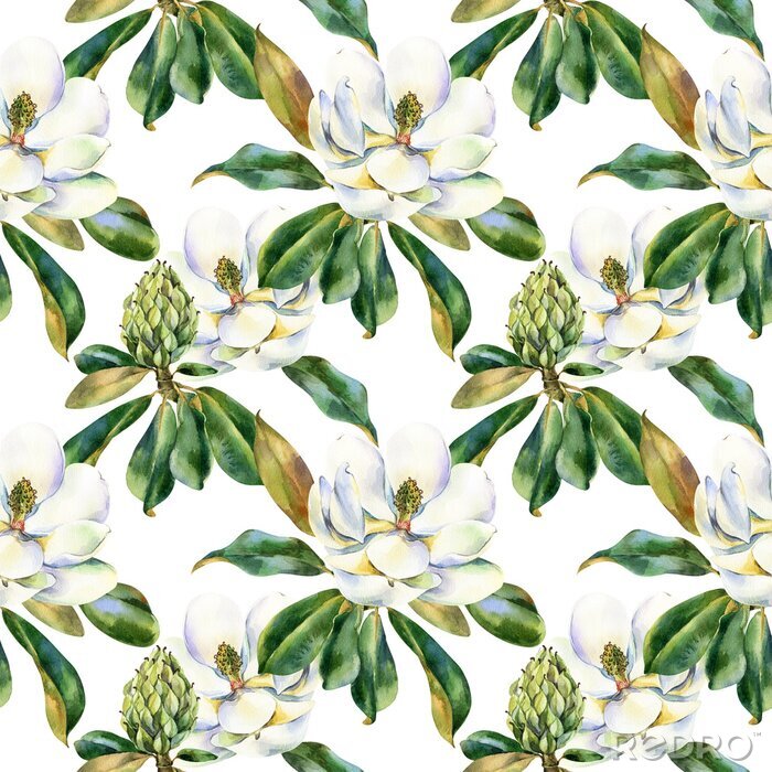 Poster  Watercolor seamless pattern with white magnolia, green leaves, botanical painting isolated on a white background, floral painting, stock illustration. Fabric wallpaper print texture.