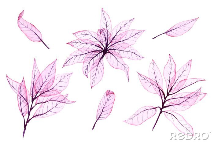 Poster  Watercolor transparent leaves. Hand painted pink leaves perfect for card making and label. Illustration