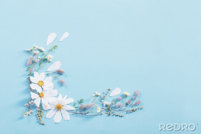 Poster  white flowers on paper background