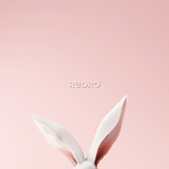 Poster  White rabbit ear on pastel pink background. Easter day. 3d rendering