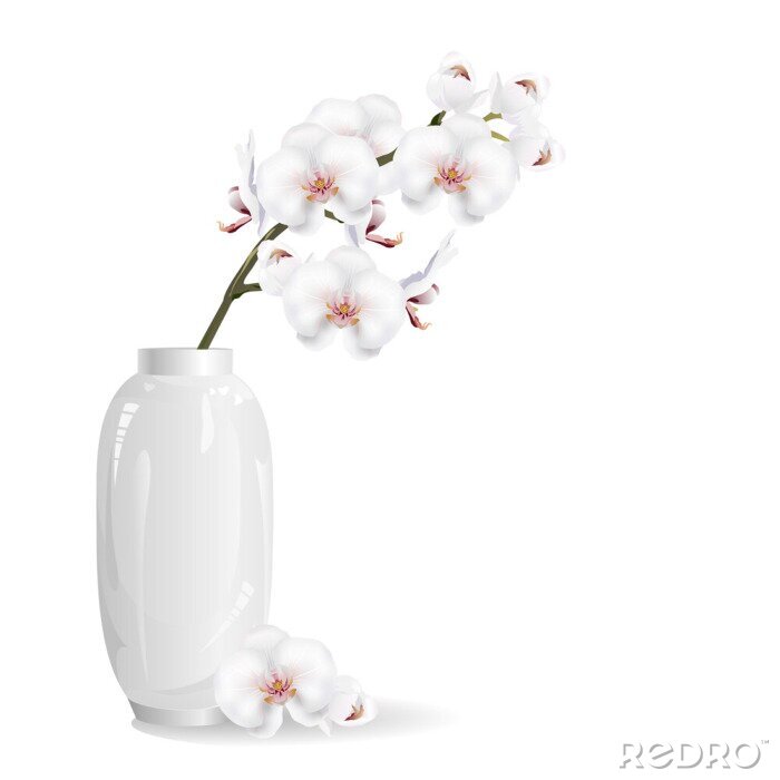 Poster  Wit orchideeëntakje in een glimmende vaas