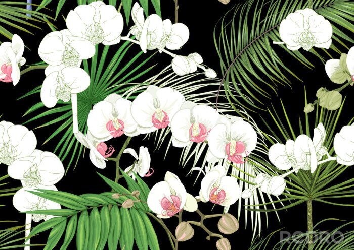 Poster  Witte orchidee met een roze hart en palmbladeren