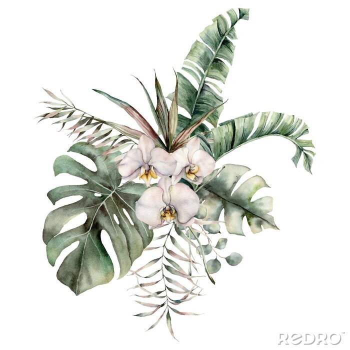 Poster  Witte orchidee op een achtergrond van exotische bladeren