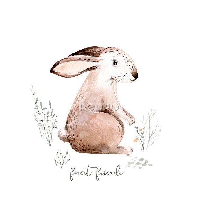 Poster  Woodland watercolor cute animals baby rabbit. Nursery bunny Scandinavian hare on forest nursery poster design. Isolated bunnies character