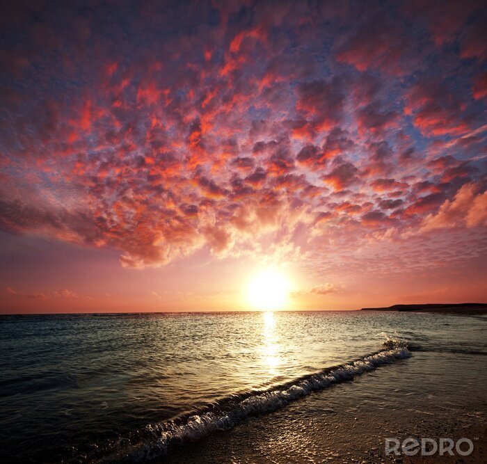 Poster  Nature mer et nuages ​​roses