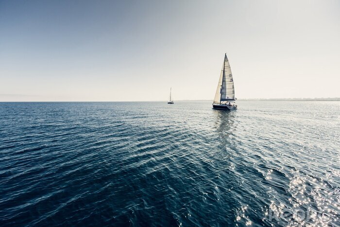 Poster  Yachts à voile de bateau avec des voiles blanches