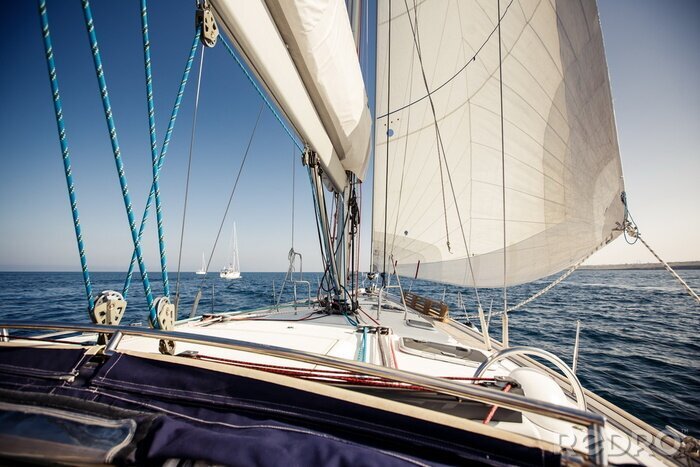 Poster  Yachts à voile de bateau avec des voiles blanches