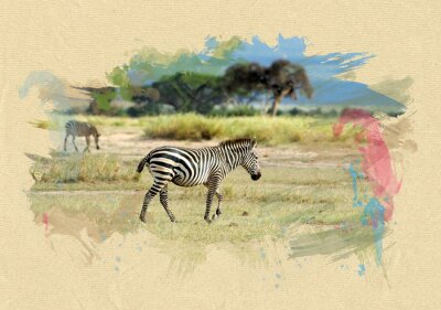 Poster  Zebra sur papier texturé. effet de pinceau