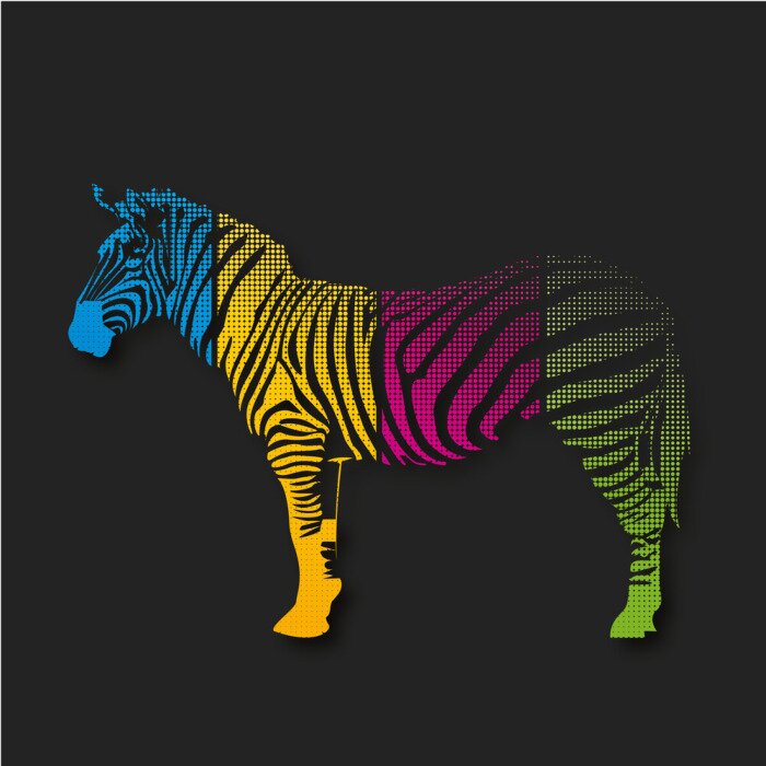 Poster  Zèbre coloré
