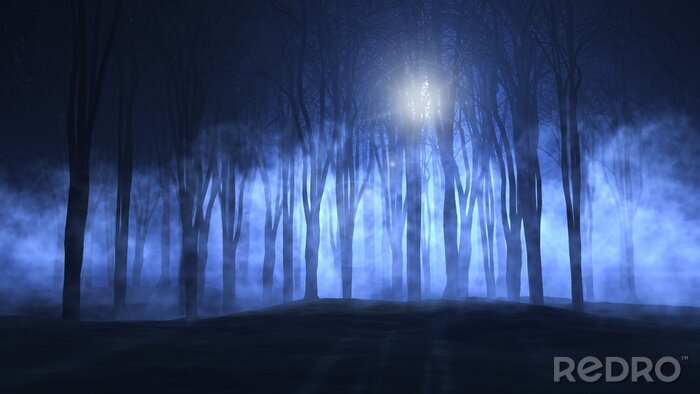 Sticker  3D forêt fantasmagorique brumeux