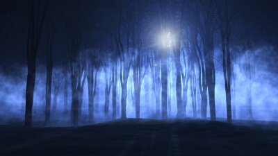 Sticker  3D forêt fantasmagorique brumeux