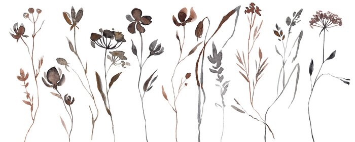 Sticker  Abstract Watercolor Autumn Flower Set. Herbarium in boho style. Field fall flowers. Frame fall flowers.