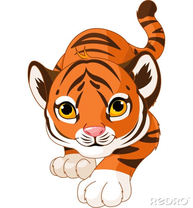 Sticker Accroupi Bebe Tigre Sur Mesure Redro Fr