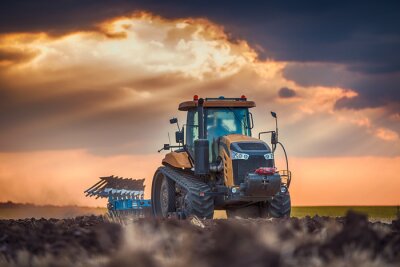 Agriculteur, tracteur, préparer, terre, cultivateur