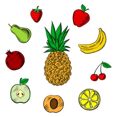 Sticker  Ananas entouré d'autres fruits
