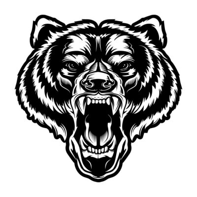 Sticker  Angry bear face vector illustration. Furious angry face of bear with open mouth and terrible teeth as symbol of strength and aggressiveness. Grunge style  print for sport wear.