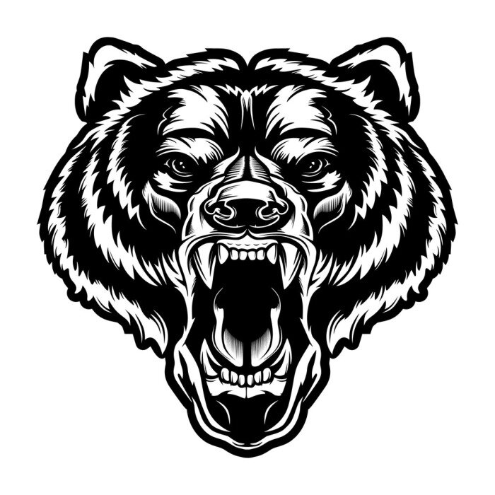 Sticker  Angry bear face vector illustration. Furious angry face of bear with open mouth and terrible teeth as symbol of strength and aggressiveness. Grunge style  print for sport wear.