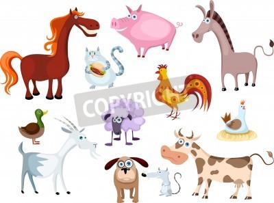 Sticker  Animaux d'illustrations d'espèces différentes pour les enfants