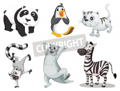 Sticker  Animaux en couleurs noir et blanc et gris