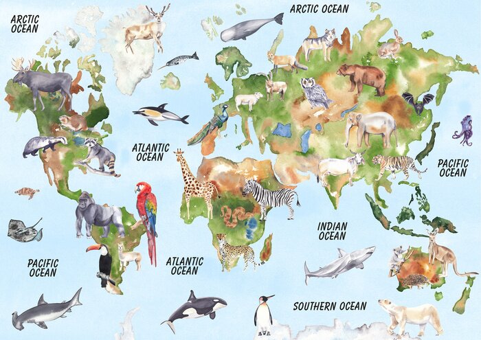 Sticker  Animaux exotiques sur la carte