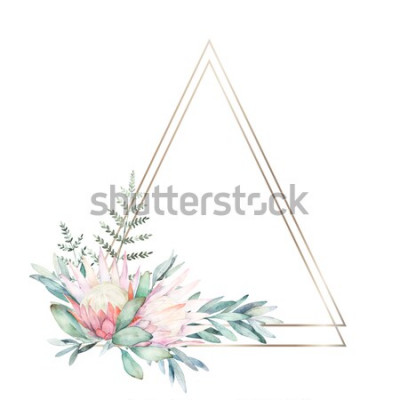 Sticker  Aquarelle cadre géométrique de verdure avec fleur, eucalyptus et fougère. Illustration dessinée à la main