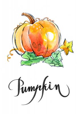 Sticker  Aquarelle d'orange citrouille