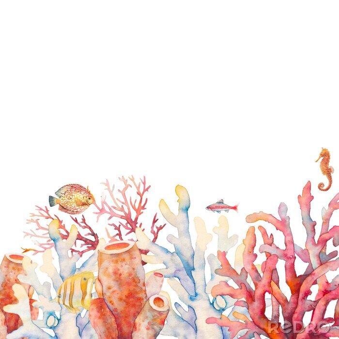 Sticker  Aquarelle de récif corallien