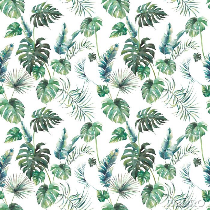 Sticker  Aquarelle exotique avec végétation