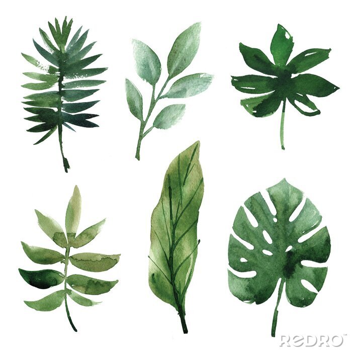 Sticker  Aquarelle feuilles tropicales