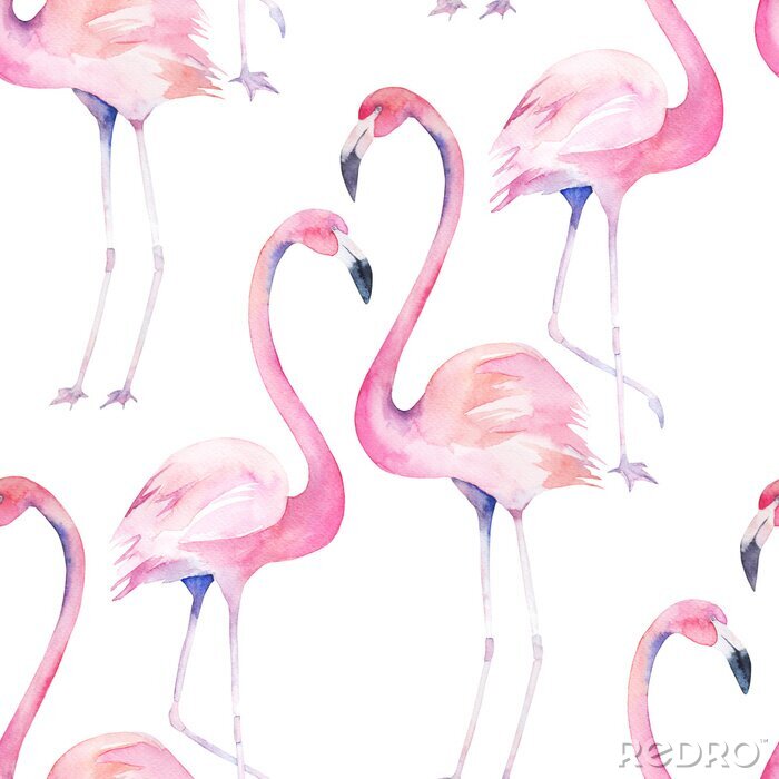 Sticker  Aquarelle flamants sur fond blanc