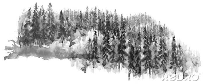Sticker  Aquarelle groupe d'arbres - sapin, pin, cèdre, sapin. forêt noire et blanche, paysage de campagne. Dessin sur fond blanc isolé.